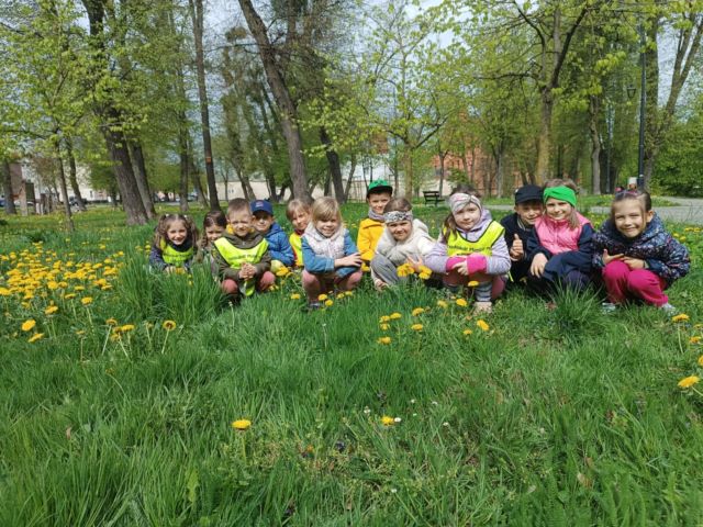 koniczynki dzien ziemi