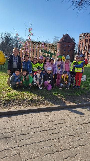 koniczynki pod katedra