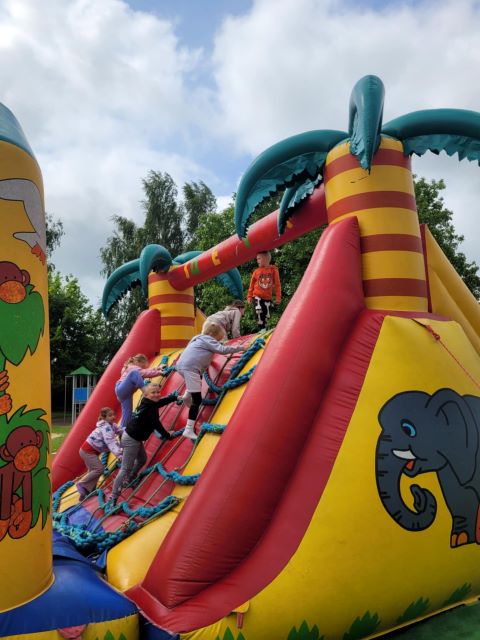 niezapominajki dmuchance