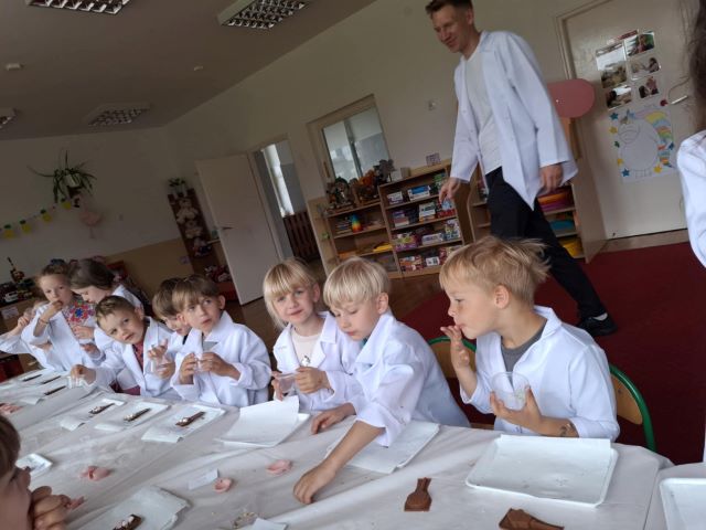 sloneczniki jedza slodycze